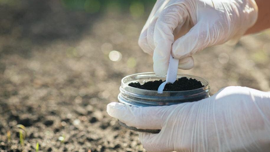 Preparing your garden: The importance of soil health.