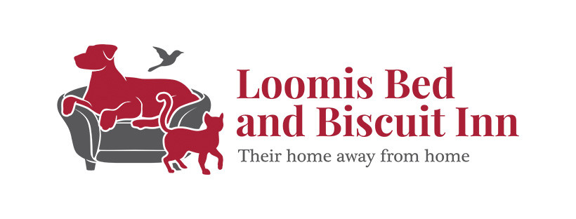 Experience the freedom and care at Loomis Bed and Biscuit Inn, where pets enjoy a cage-free paradise.