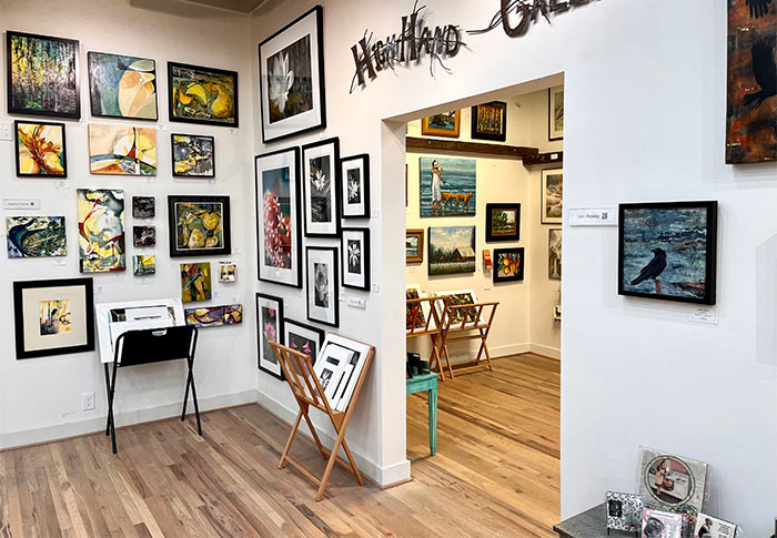 The inviting interior of High Hand Art Gallery, showcasing the diversity of local art.