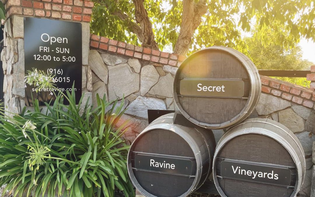 Sip, Savor, and Serenity: Discovering Secret Ravine Vineyard & Winery