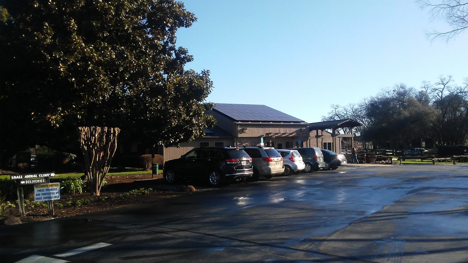 Animal Hospital in Loomis, California