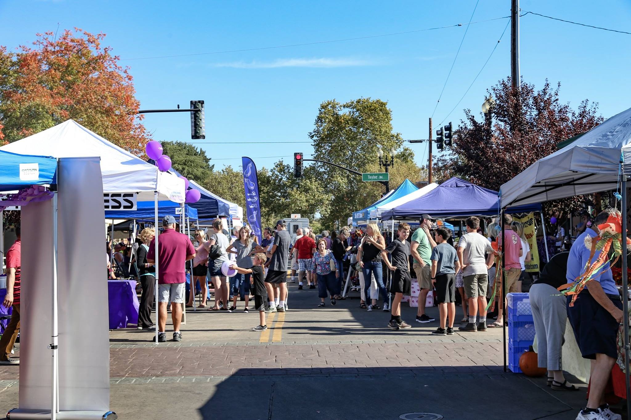 Loomis Fruit Shed Fest: A Celebration of Community and Harvest