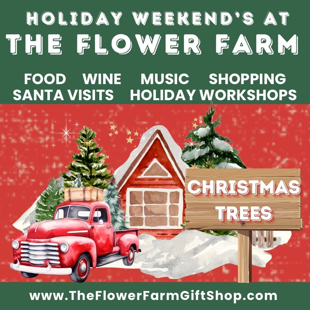 Celebrate Christmas at The Flower Farm: Family-Friendly Events