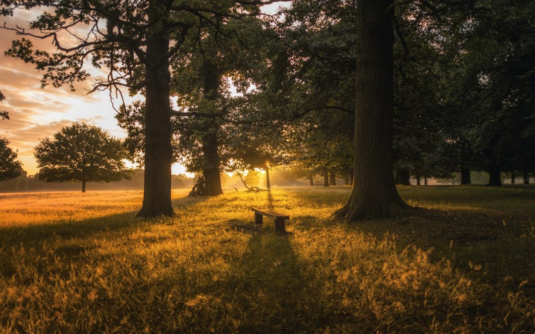 Loomis’ Blue Anchor and Sunrise Parks: Celebrate Take A Walk Outdoors Day