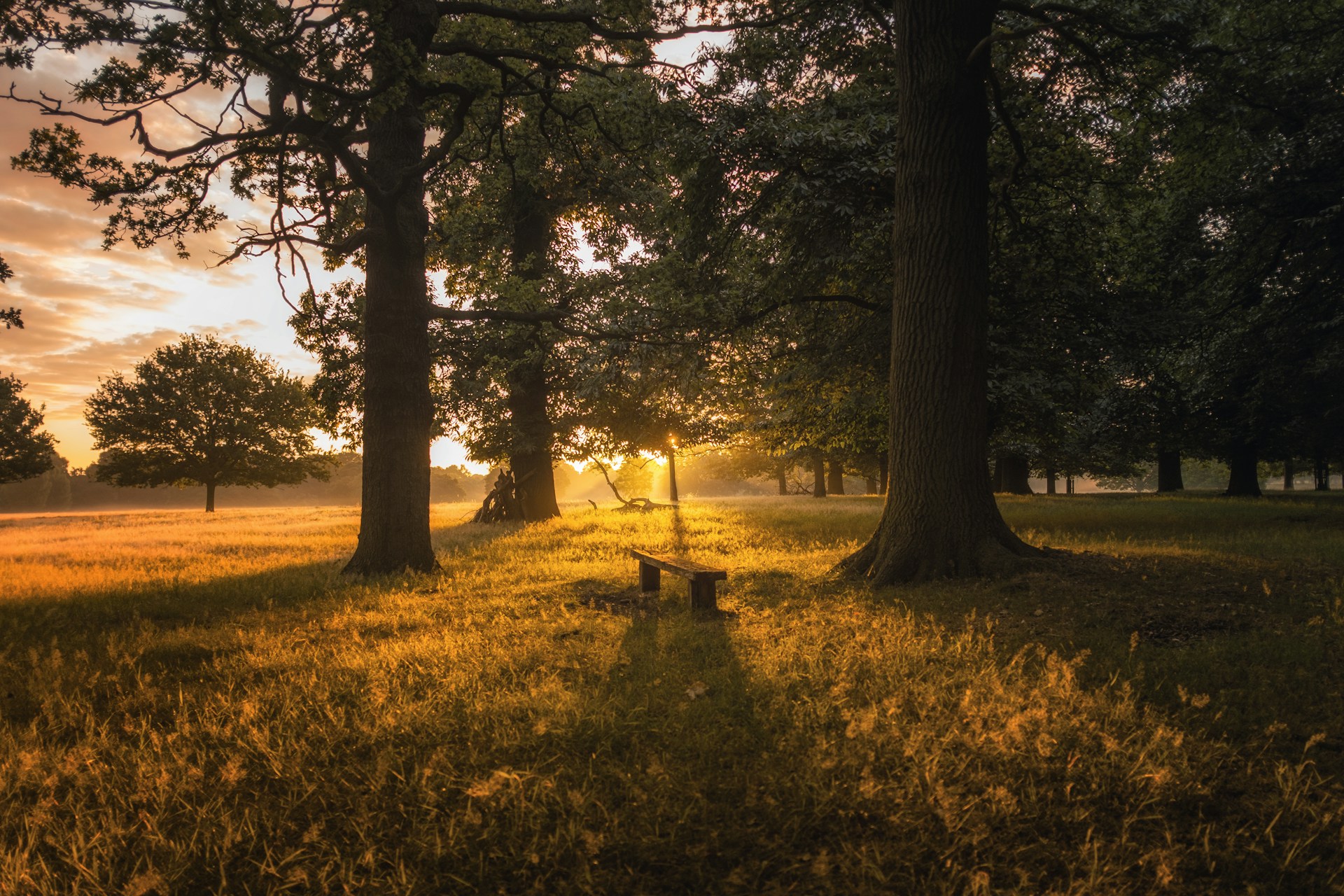 Loomis’ Blue Anchor and Sunrise Parks: Celebrate Take A Walk Outdoors Day