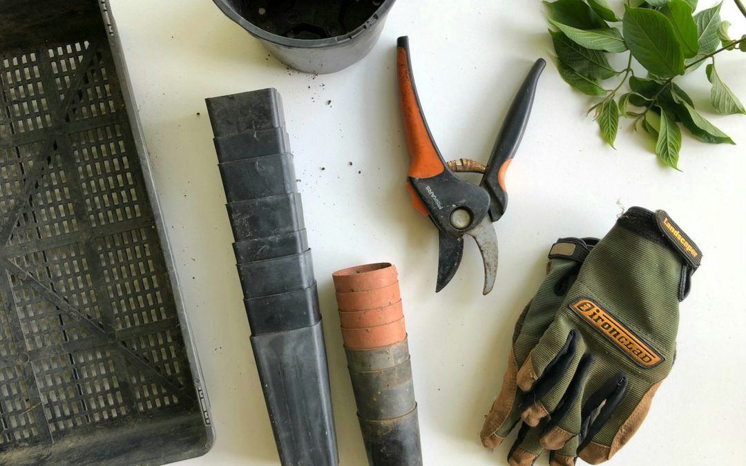 Loomis Gardening 101: Prepping Soil, Seeds & Tools for Spring